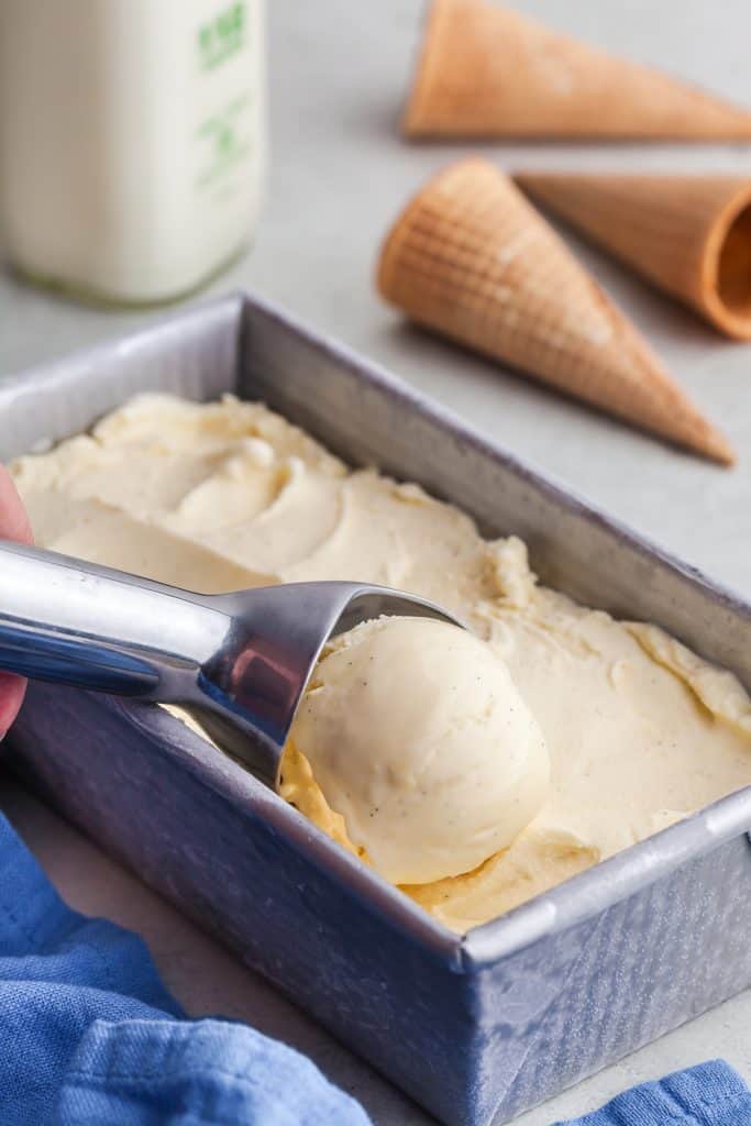 side view of creamy vanilla gelato with vanilla seed flecks in a metal pan being scooped. Background has sugar cones lying about and a glass jar of milk.