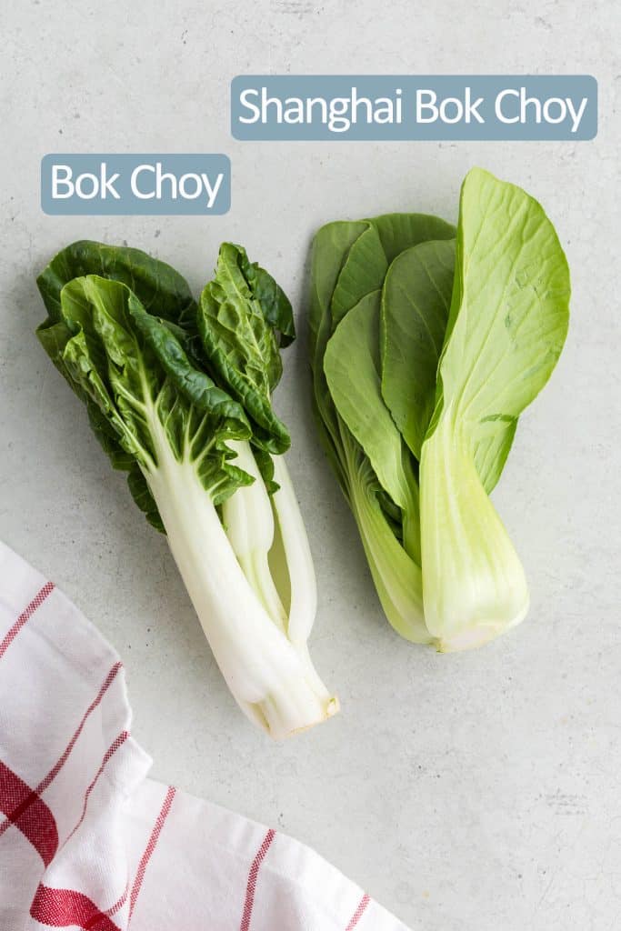 Overhead shot of two different types of bok choy.  On the left is a white stalked version with dark green crinkly leaves.  Above it is a label calling it Bok Choy.  On the right is a lighter green colored smooth leafed bok choy with a label above calling it Shanghai Bok Choy.