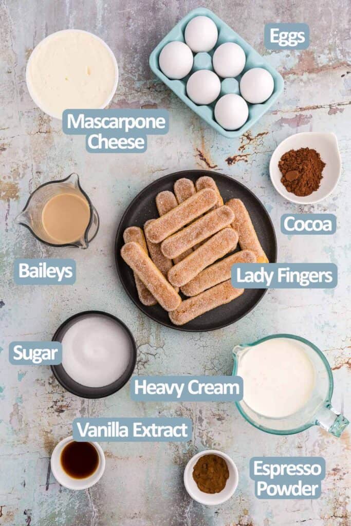 Overhead shot of the ingredients used in making Baileys Tiramisu.  Ingredients are: Mascarpone cheese, eggs, Baileys, Cocoa, Lady Fingers, Sugar, Heavy Cream, Vanilla Extract, and Espresso Powder.