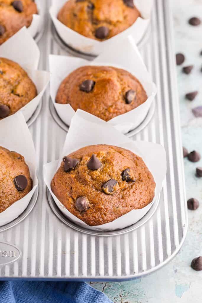 A high side shot looking down the muffin tray filled with pumpkin banana bread muffins.  All golden brown and topped with yummy chocolate chips.