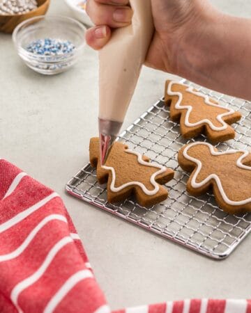 A close up side shot showing a brown gingerbread Christmas tree shaped cookie being decorated with a piping bag of white royal icing. A thin white strip of royal icing has been piped around the entire edge of the tree.