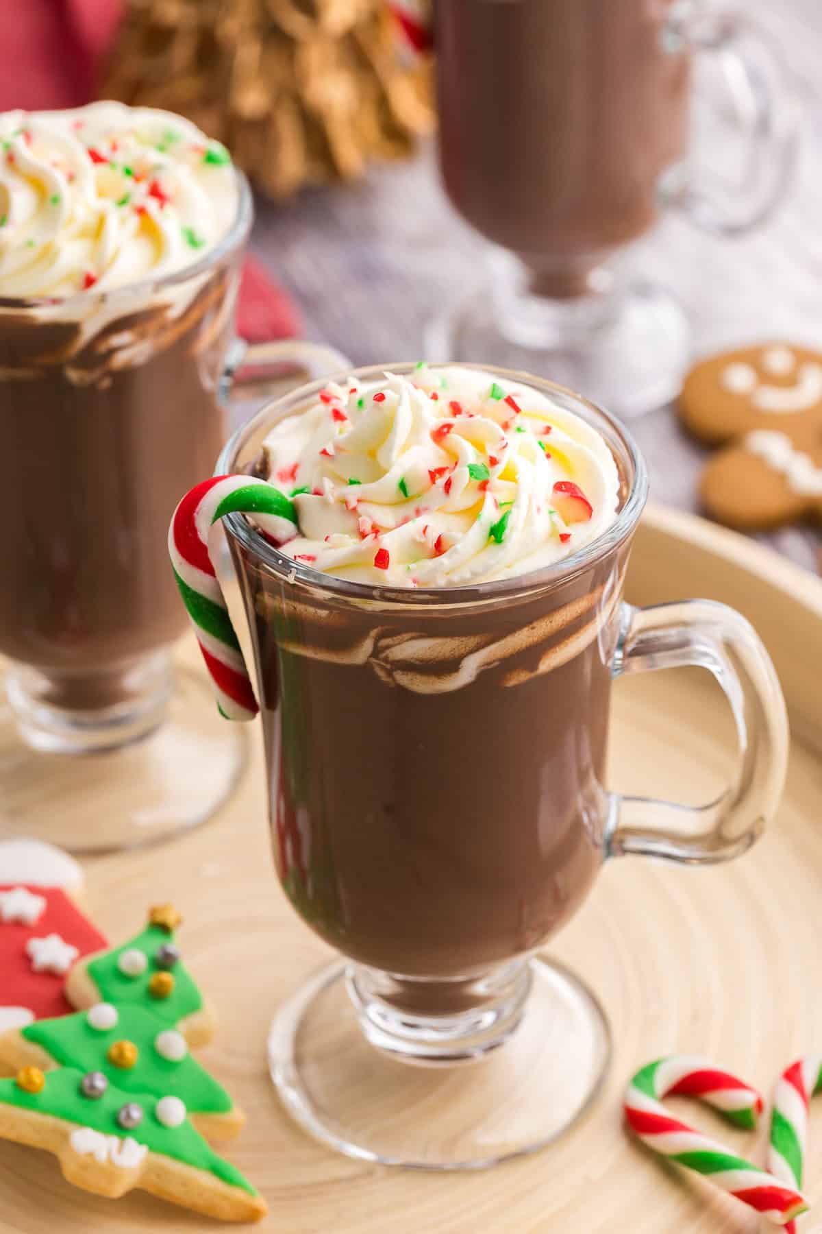 A glass mug filled with peppermint hot chocolate and topped with whip cream and candy cane bits