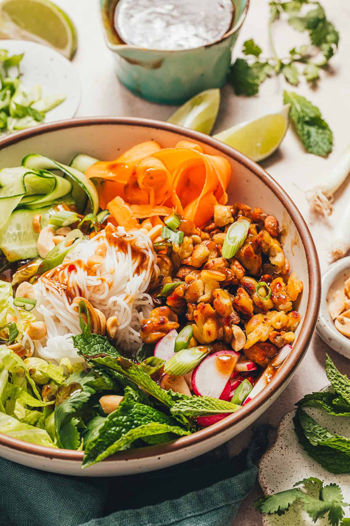 high angle shot looking into a bowl filled with rice noodles and vegetarian options: tempeh, cucumber ribbons, carrot ribbons, fresh mint, peanuts, and green onions.