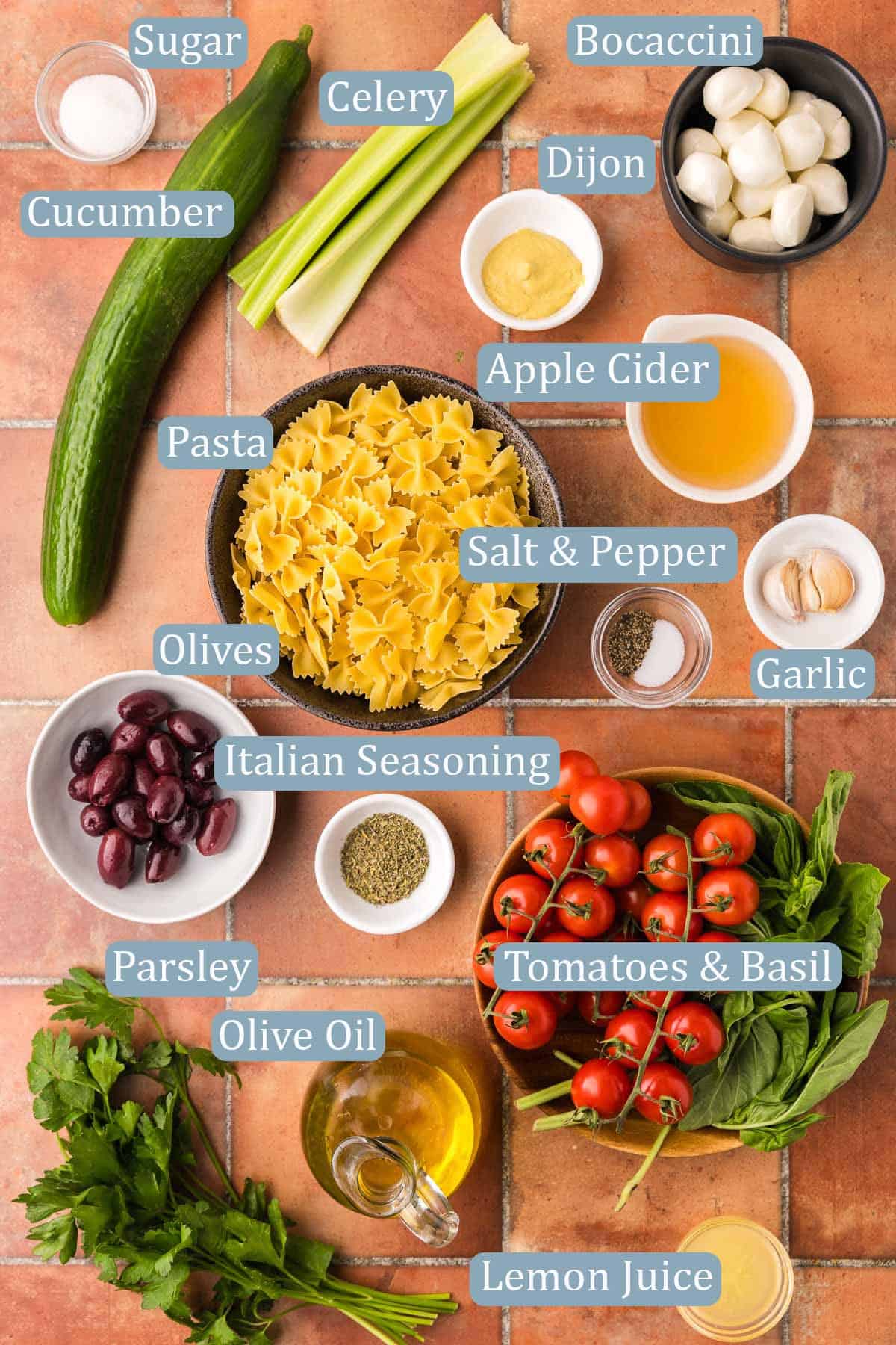 Overhead shot of all the ingredients needed to make this Italian Pasta Salad. Ingredients include: Pasta, cucumber, celery, cherry tomatoes, kalamata olives, bocconcini, fresh basil and parsley, extra virgin olive oil, apple cider vinegar, lemon juice, water, Dijon mustard, sugar, fresh garlic, Italian seasoning, black pepper, and salt.